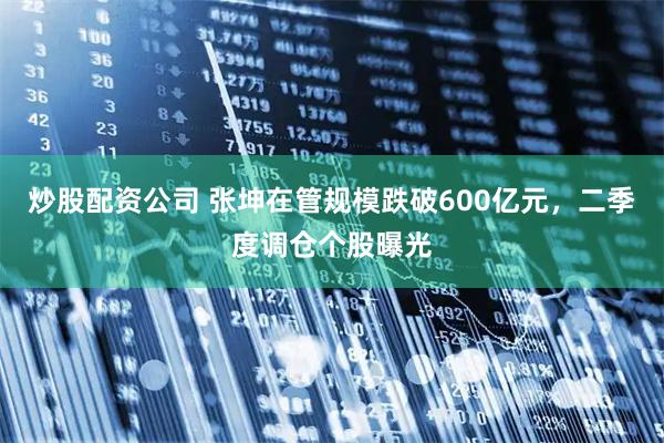 炒股配资公司 张坤在管规模跌破600亿元，二季度调仓个股曝光
